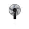 Fan - Al Shabib