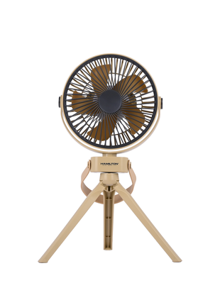 Vintage-style desk fan with wooden base on a white background
