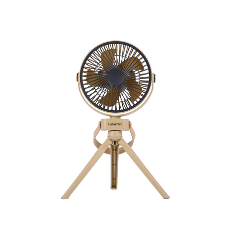 Vintage-style desk fan with wooden base on a white background
