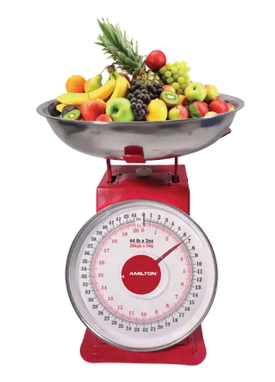 Hamilton Mechanical Weighing Scale 20kg SS Analog Display HT716 | Al Shabib Qatar