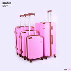 4 Piece full set / Pink